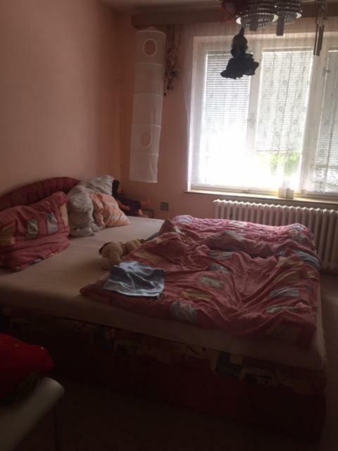 Apartament Dolní Bukovsko المظهر الخارجي الصورة